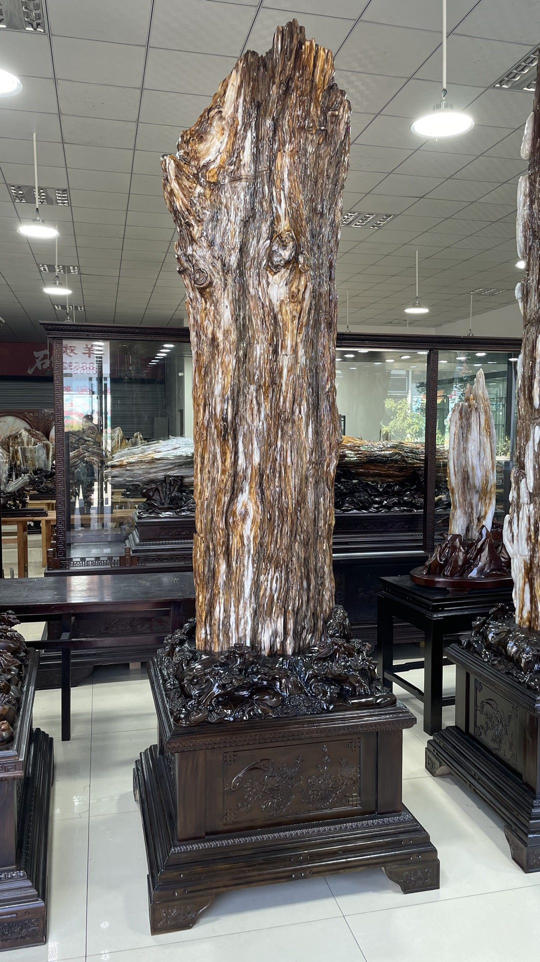 缅甸树化玉原石镇宅招财13010号木化石树化石天然硅化木奇石摆件