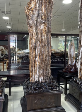 缅甸树化玉原石镇宅招财13010号木化石树化石天然硅化木奇石摆件