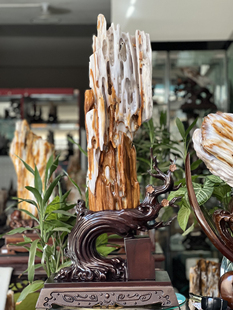 缅甸树化玉原石镇宅招财128863号木化石树化石天然硅化木奇石摆件