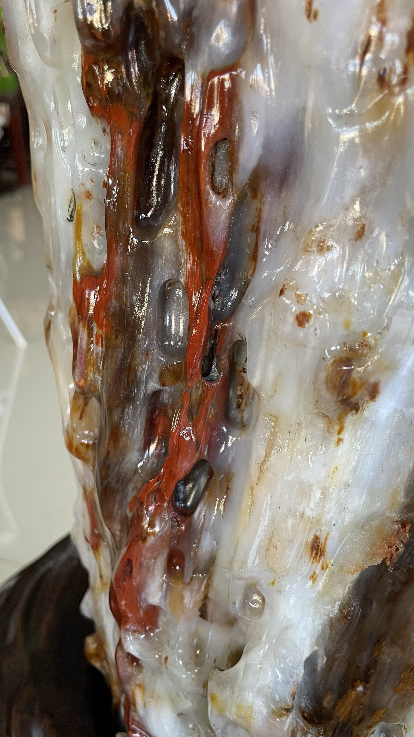 缅甸树化玉原石镇宅招财66014号木化石树化石天然硅化木奇石摆件