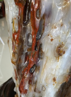 缅甸树化玉原石镇宅招财66014号木化石树化石天然硅化木奇石摆件