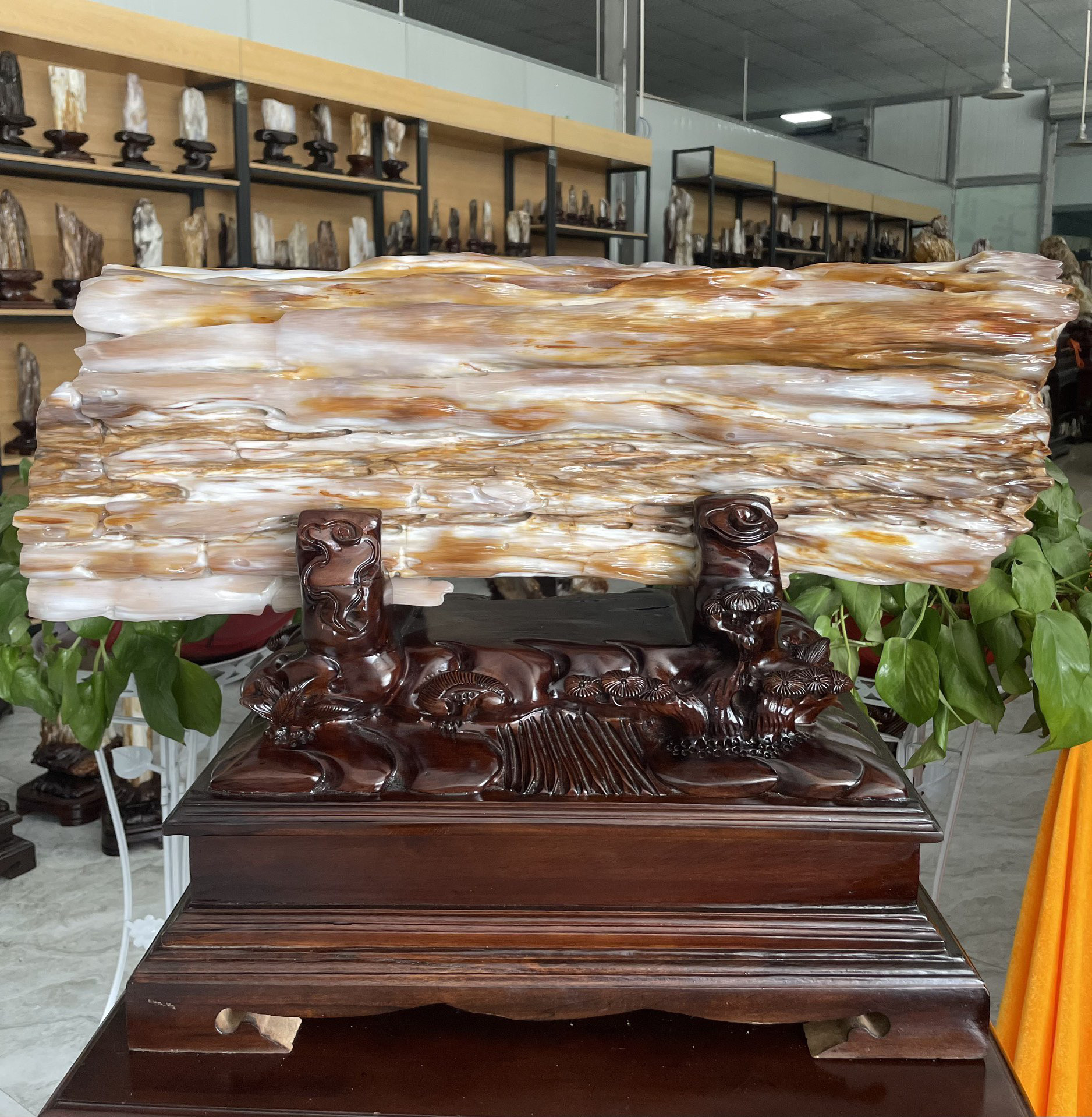 缅甸树化玉原石镇宅招财15110号木化石树化石天然硅化木奇石摆件