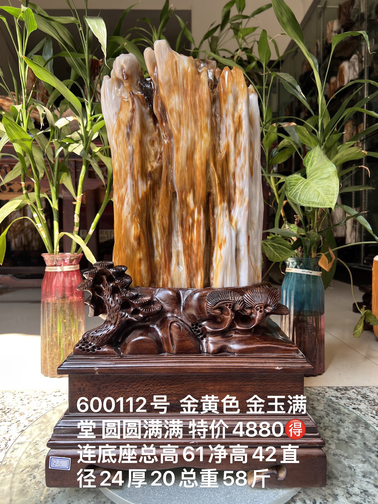 缅甸树化玉原石镇宅招财600112号木化石树化石天然硅化木奇石摆件