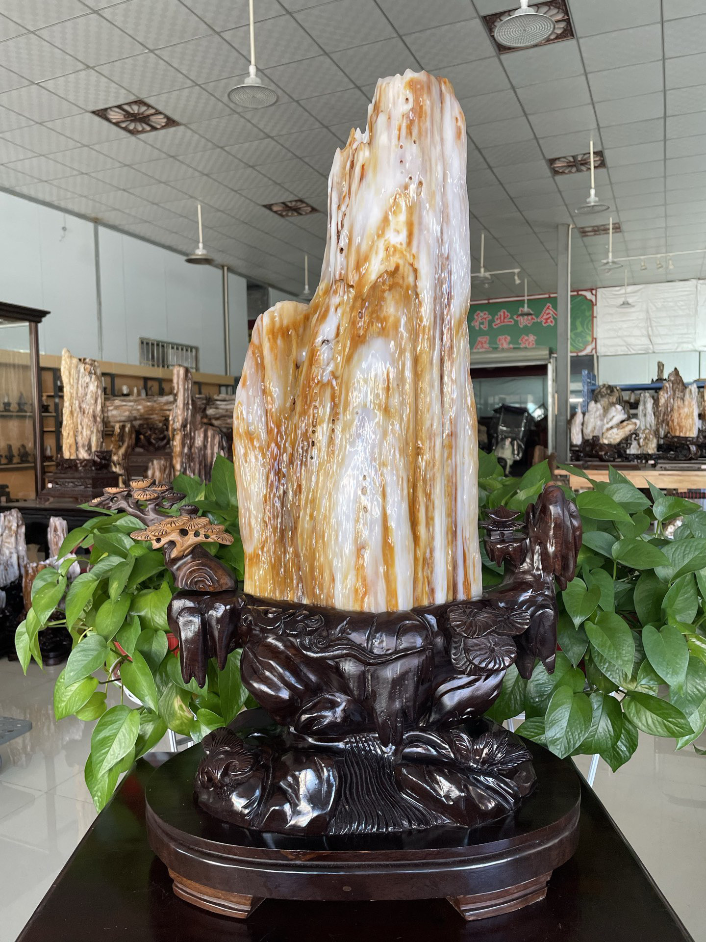 缅甸树化玉原石镇宅招财23080号木化石树化石天然硅化木奇石摆件