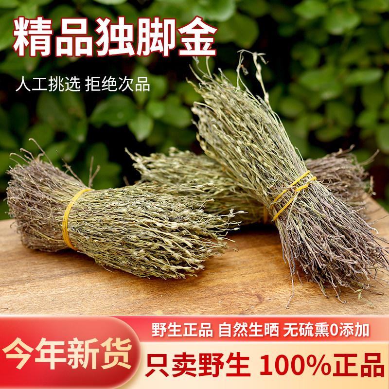 广东野生正宗矮脚独脚金中药材药草疳积草消积汤儿童清心调理脾胃