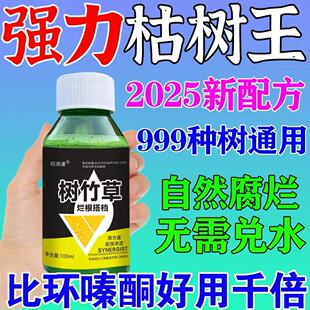 树枯腐树枯根专用药腐蚀烂大树药根灌木竹子构树强力枯毒腐树根王