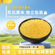 兵小强新米东北大黄米5斤新米黏黄米粘黄米黍米黄豆包粽子黄糯米