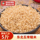 兵小强东北糙米5斤装 糖尿病人专用五谷杂粮健身代餐粗粮胚芽大米
