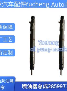 28599713共轨柴油喷油器1100100XED95适用于德尔福 4D20M发动机