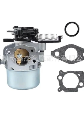 适用于Briggs Stratton 799248 796608 594287园林化油器