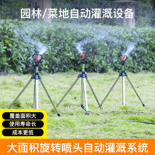 爱心大面积喷洒爱心大面积喷洒