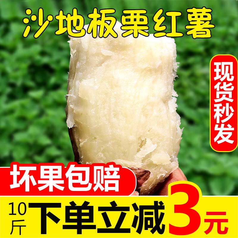 白心板栗薯新鲜农家自种沙地红薯粉糯干面甜香薯山芋地瓜番薯10斤