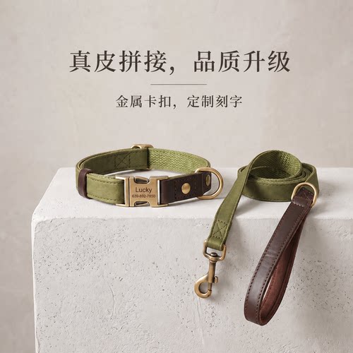 狗狗项圈刻字防丢外出遛狗三件套