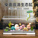 鱼缸客厅创意桌面生态鱼缸家用小型过滤制氧亚克力高清高透乌龟缸