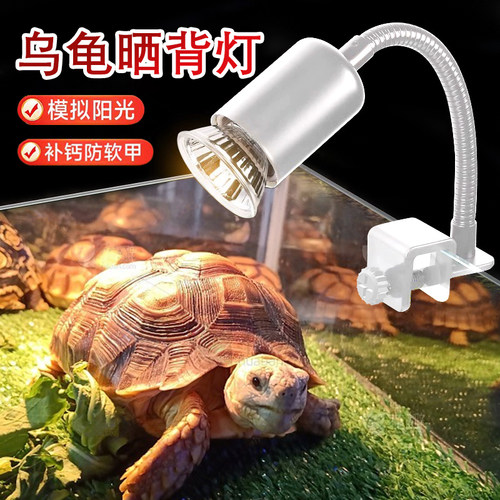乌龟晒背灯爬宠恒温灯架