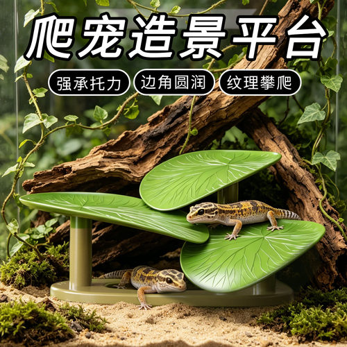 爬宠造景平台晒台生态栖息平台