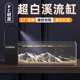 桌面侧滤超白溪流缸全景超清循环水客厅家用生态造景过滤一体鱼缸