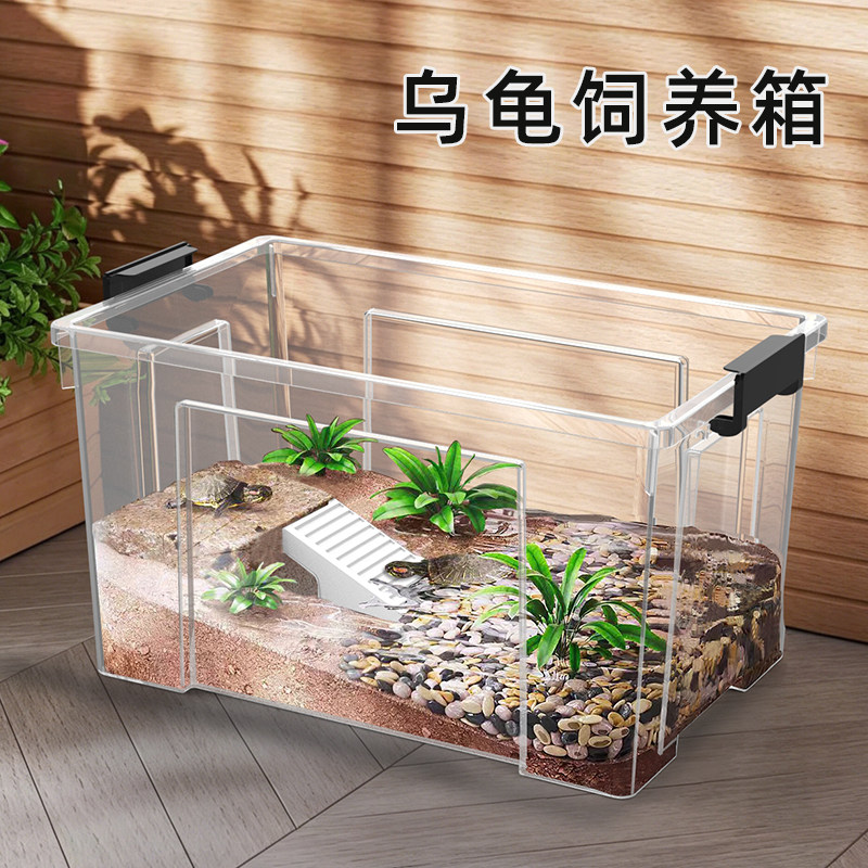 乌龟饲养箱养殖周转箱乌龟缸图片
