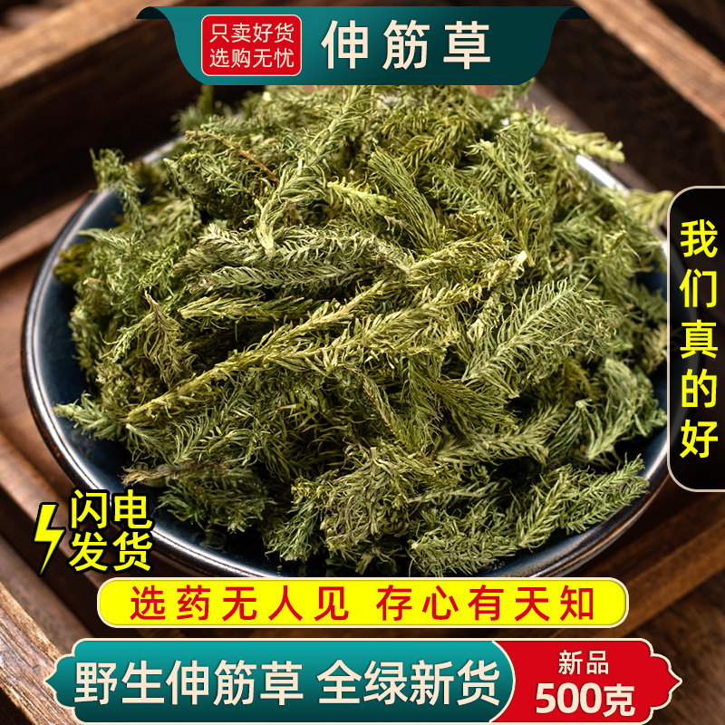 野生伸筋草中药材500克/250/100g舒筋草泡脚石松透骨草远志益智仁
