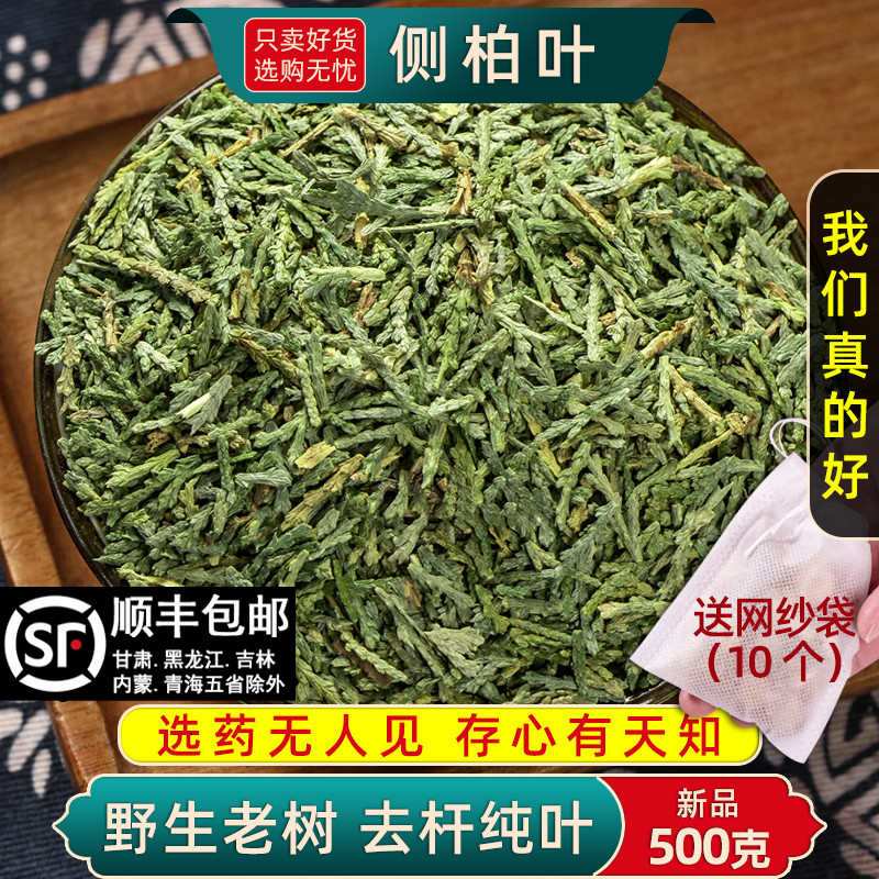 精选侧柏叶中药材正品新货