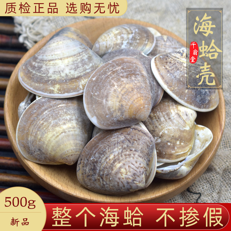 海蛤壳中药材500克野生蛤壳海蛤壳天然蛤蜊壳精选大个海蛤整个