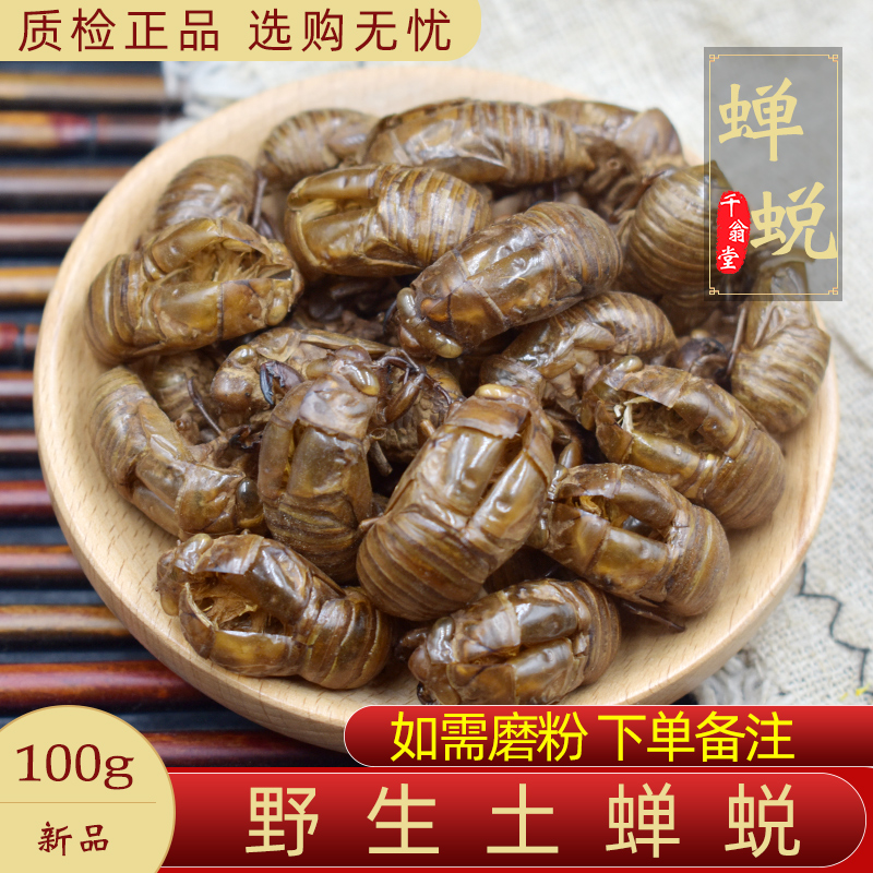 精选蝉蜕中药材正品新货