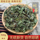 野生蛇莓中草药500 250 100g中药材新货蛇泡草蛇果草野草莓地莓草