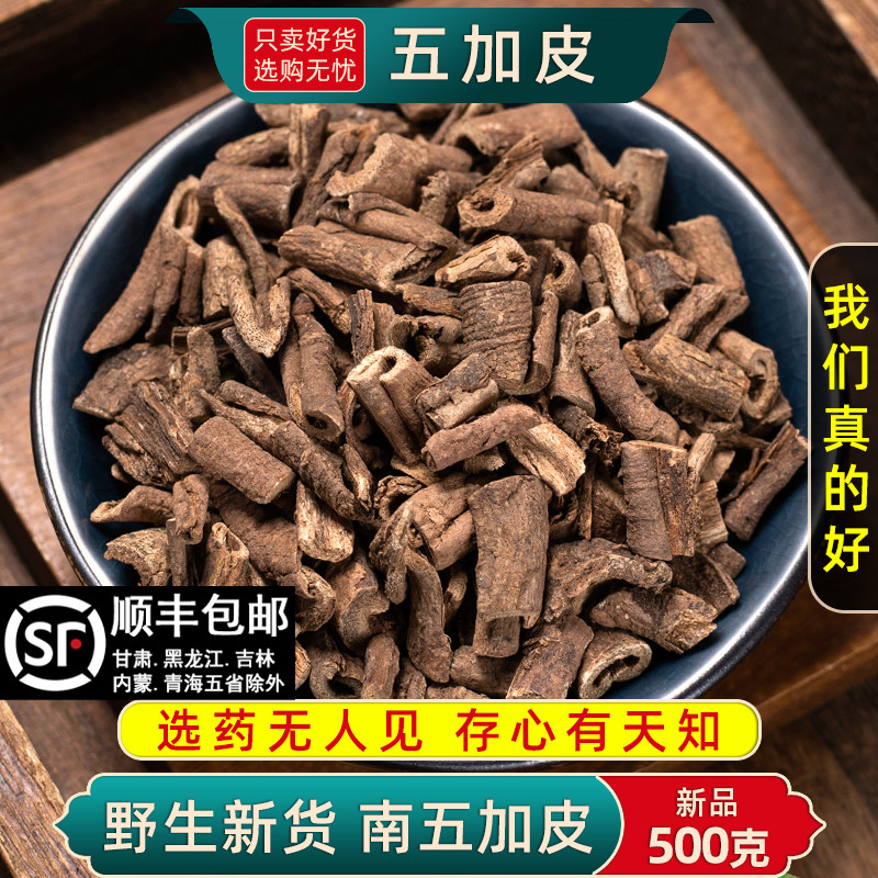 野生五加皮中药材正品新货