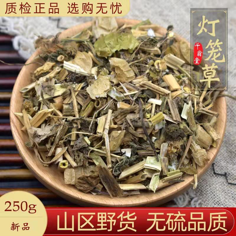 野生灯笼草灯笼草中药材250g断血流鬼灯笼苦锦灯笼姑娘果草药