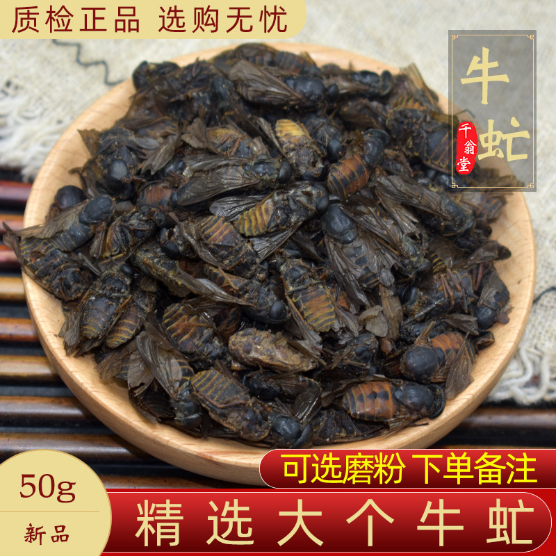 牛虻中药材50克 牛虻药 精选大个牛虻虫 绝不掺假 牛虻药材正品
