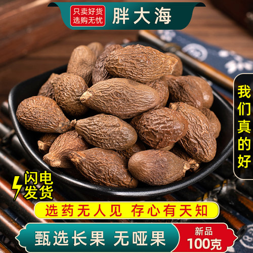 胖大海中药材正品新货