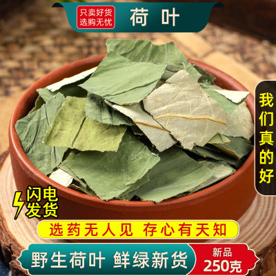 精选荷叶中药材正品新货