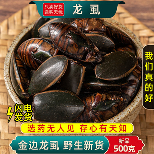 金边龙虱中药材500克/250g 大金边龙虱干水蟑螂水鳖虫射尿龟