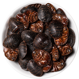 土元中药材500克250/100g土元虫土元干中华土鳖虫粉土元粉地鳖虫