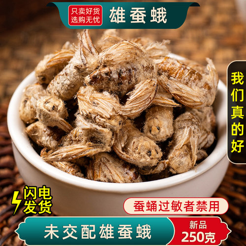 雄蚕蛾中药材纯公蚕蛾新货