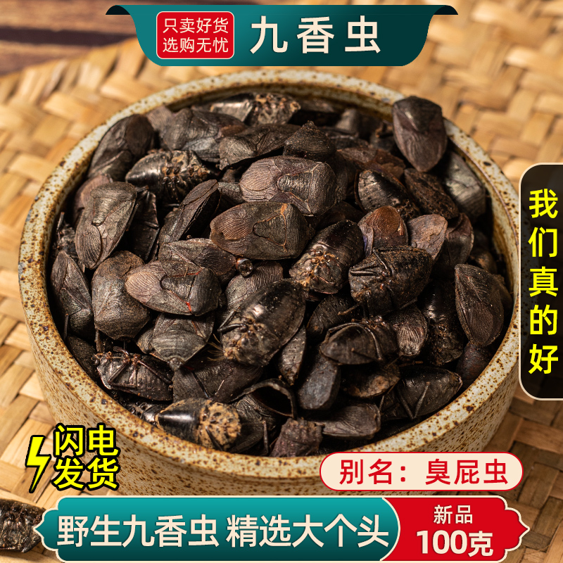 野生九香虫中药材250克/100/50克云南打屁虫屁巴虫臭壳子虫臭屁虫