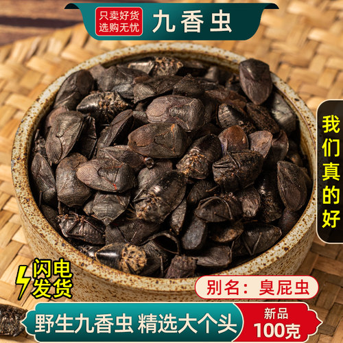 野生九香虫中药材正品新货