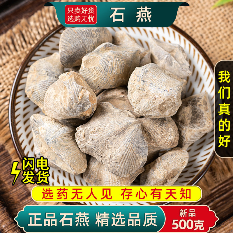 石燕500克中药材石燕燕石子