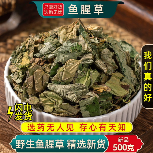 野生鱼腥草野生中药材正品新货