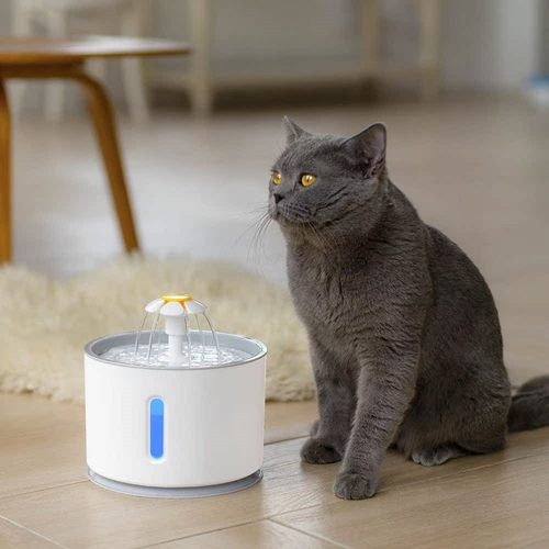 Automatic Pet Cat Water Fountain with LED Lighting 5 Pack Fi