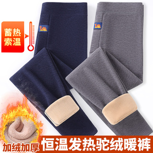 保罗加大码驼绒男士保暖裤加绒冬季加厚弹力防寒一体绒打底裤秋裤