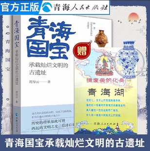 青海国宝:承载灿烂文明的古遗址中国历史文化国宝档案中国考古通论天文文物中国史考古挖掘文物书籍中国考古通识中国文物考古书籍