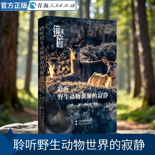 聆听野生动物世界的寂静 野生动物故事集西顿野生动物儿童动物书儿童动物书我的动物野生朋友趣味科普神奇的动物世界大百科
