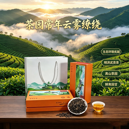 古楼云雾茶红茶雨前茶礼盒装茶