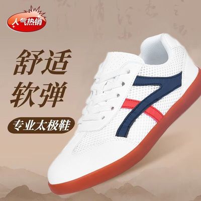 夏季男女牛筋底透气网面太极鞋