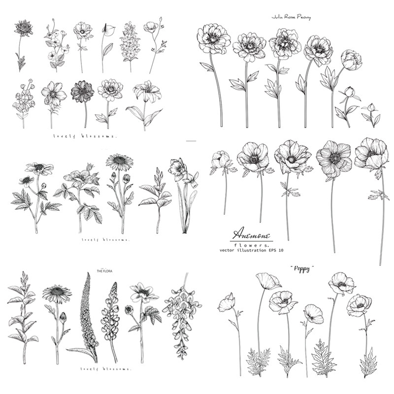 黑白线描线稿向日葵花卉朵手绘素描植物叶子小香风生日婚礼ai素材