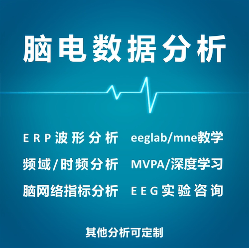 脑电数据分析EEG数据处理ERP波形eeglab静息态MVPA时频分析erplab
