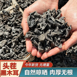 【庆元黑木耳】小云耳炒菜炖汤当季新货250g-500g厚肉