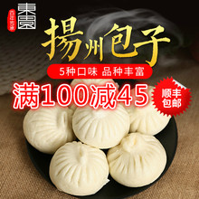 东园扬州鲜肉包子青菜包/萝卜丝包/三丁包/营养早餐速食冷冻食品