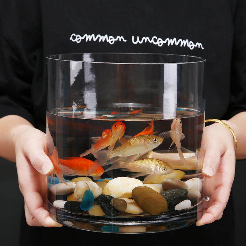 超白加厚圆柱鱼缸直筒透明玻璃金鱼缸客厅大号落地水培圆形乌龟缸